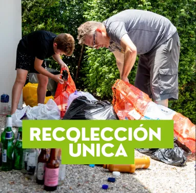 Recolección Única