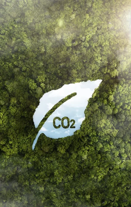 gestion ambiental 01